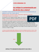 ¿Cómo Podemos Mitigar La Contaminación Por Plástico de Los Ríos o Mares?