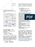 Taller Unidad 1 Biologia Celular 2020 Remoto