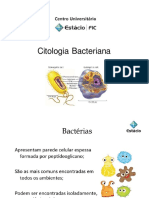 AULA 3 - Citologia Bacteriana (1) - Copia.pdf