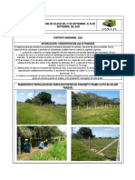 Informe Tecnico Formato