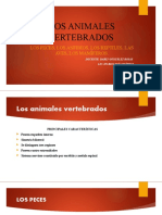 LOS ANIMALES VERTEBRADOS diapositivas