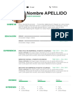 61 Curriculum Vitae Practica