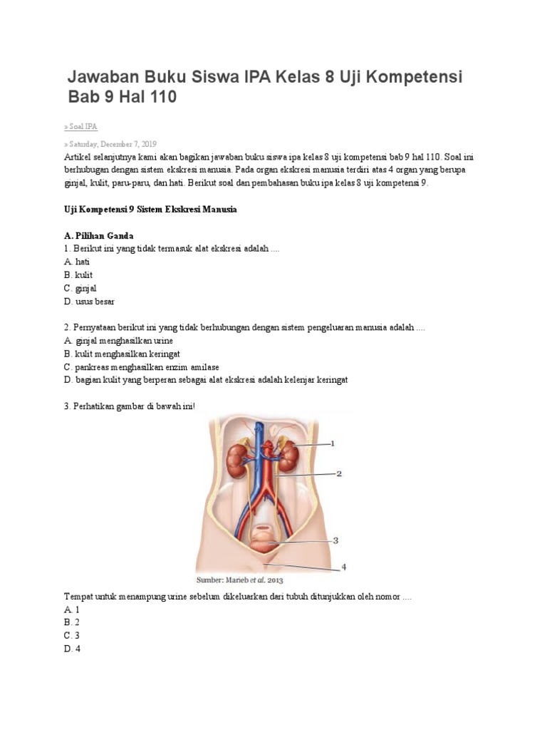 Soal Sistem Ekskresi Kls 8