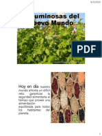 Nuevo Mundo, Frijol y Pallar PDF