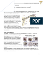 Clase 11 - 1 y 2 Semana Desarrollo Embrionario PDF