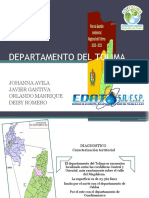 Departamento Del Tolima 1