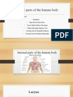 Internal Parts of The Human Body