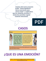 Sistema Endocrino