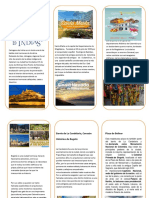 Plegable Tarea Sociales PDF