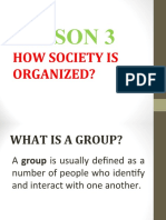 Lesson 3 - How Society Is Organized