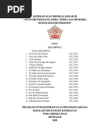 Shantel Nubiles porno