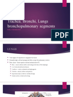 Trachea, Bronchi, Lungs Bronchopulmonary Segments: Roel Cobarde M.D