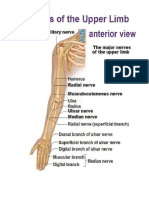 42nerves upper limb.docx