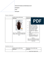 Morfologi Arthropoda