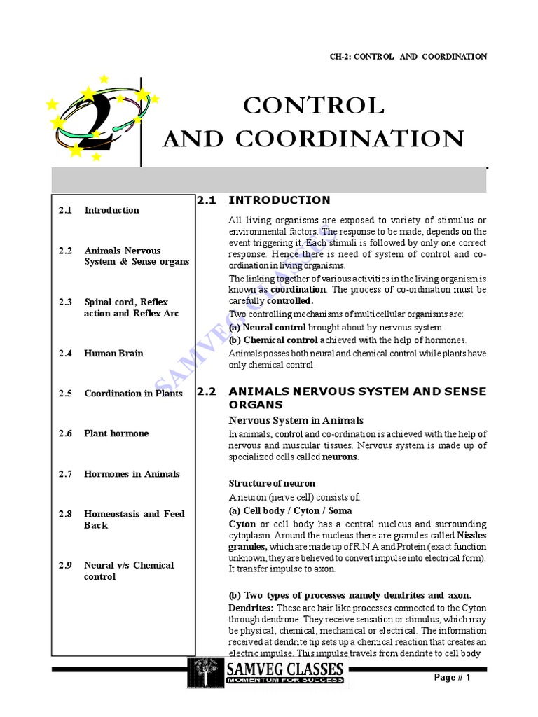 02 - Control and Coordination | PDF | Nervous System | Central Nervous ...