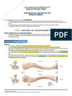 004 Handout Musculoskelital - Upper Extremities PDF