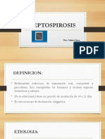 LepTOpirosis: Guía completa sobre la enfermedad zoonótica