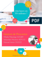 Gestion de Proyectos 300 Millones