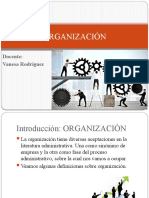 1 Organización