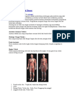 Anatomi Dan Faal PMR