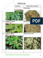 Farmakognosi FOLIUM Kelompok 3 Nisa, Diyah, Mila Sari, Fahrizi