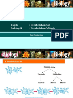 PembelahanSel Mitosis