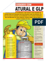 Gás Natural e GLP PDF
