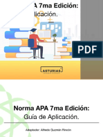 Norma Apa 7 Edicion