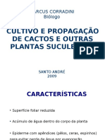 237079338-cactos-e-suculentas-pdf.pdf