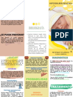 Triptico Hiperbilirrubinemia PDF