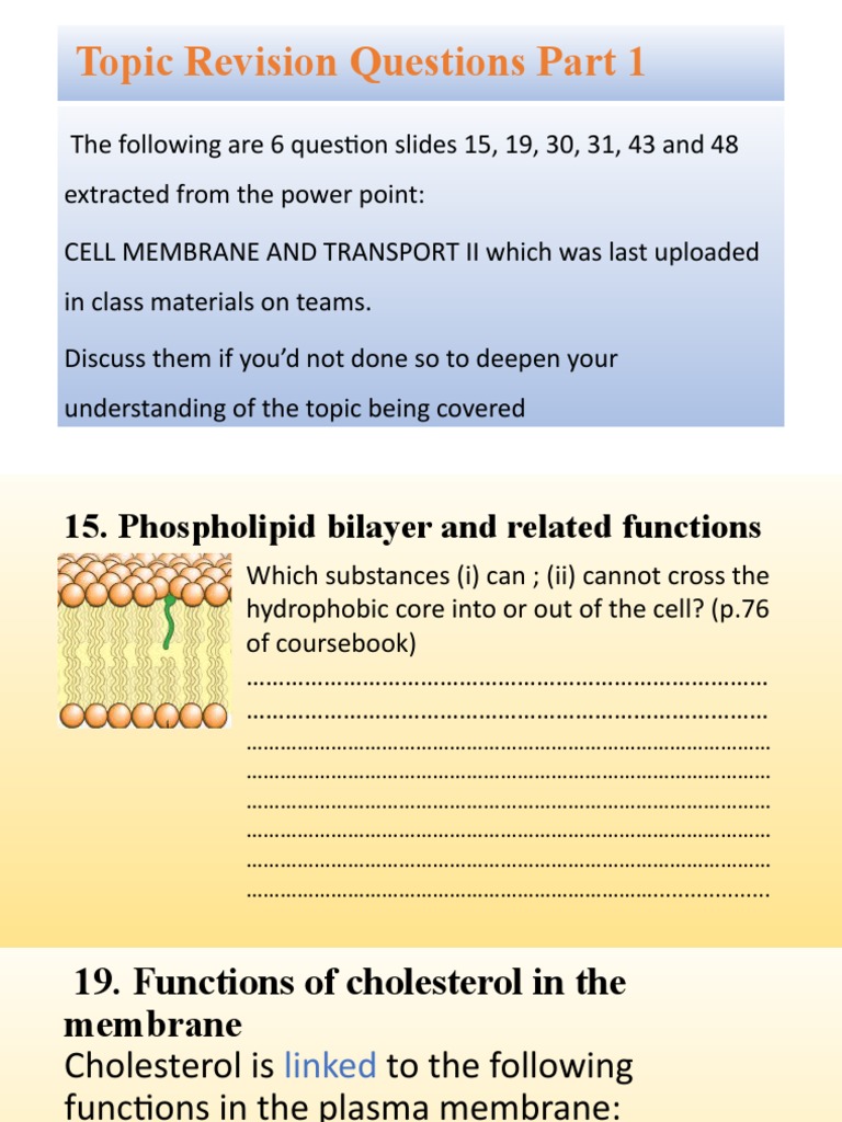 Cell Membrane and Transport Iii | PDF | Phospholipid | Cell Membrane