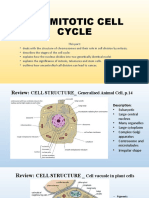 THE MITOTIC CELL CYCLE