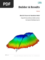 Builder & Results: Black Oil-Reservoir Simulation Model