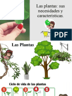 Las Plantas