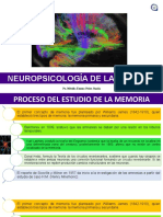 Neuropsicología de La Memoria