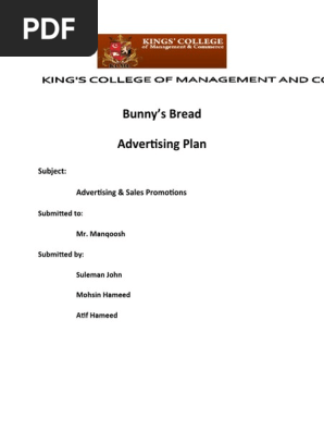 Advertising Plan