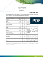 Geofuturo CAPI PDF