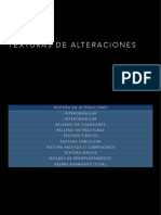 09 - Textura e Intensidad de Las Alteraciones PDF