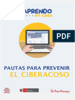 Cyberbulling PDF
