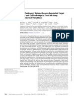 2019 - Identification of Betamethasone-Regulated Target Genes and Cell Pathways in Fetal Rat Lung Mesenchymal Fibroblasts