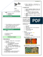 Chapter 21: Nonfermenting Gram-Negative Bacilli: I. General Characteristics