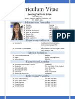 Curriculum Vitae Eveling Santana Brise