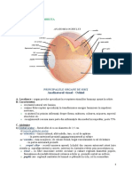 Fisa de Lucru Anatomie