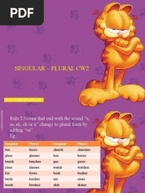 Singular Plural Cw2 Pdf