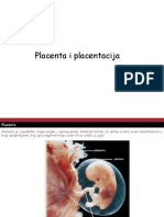 Placenta I Placentacija
