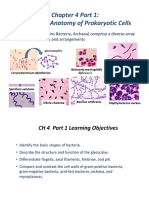CH 04 Part 1 Functional Anatomy of Prokaryotic Cells (FA20) PDF
