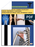 Monografia Anatomia