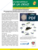entomopatogeno bauveria.pdf