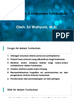 Pertemuan 2 PDF