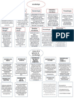 Mapas Conceptuales